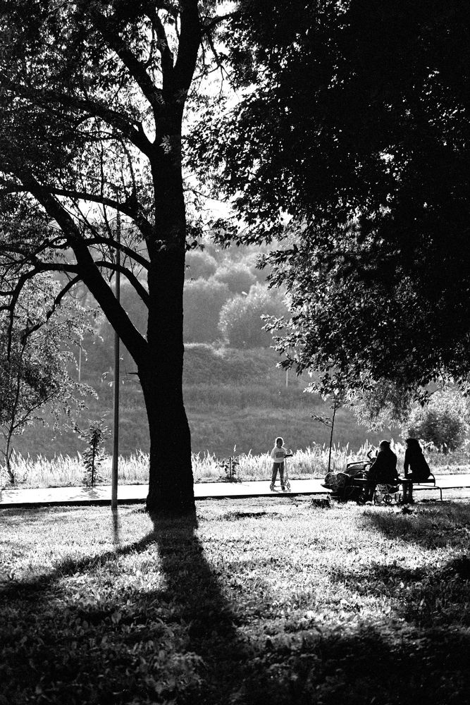 Семейная идиллия