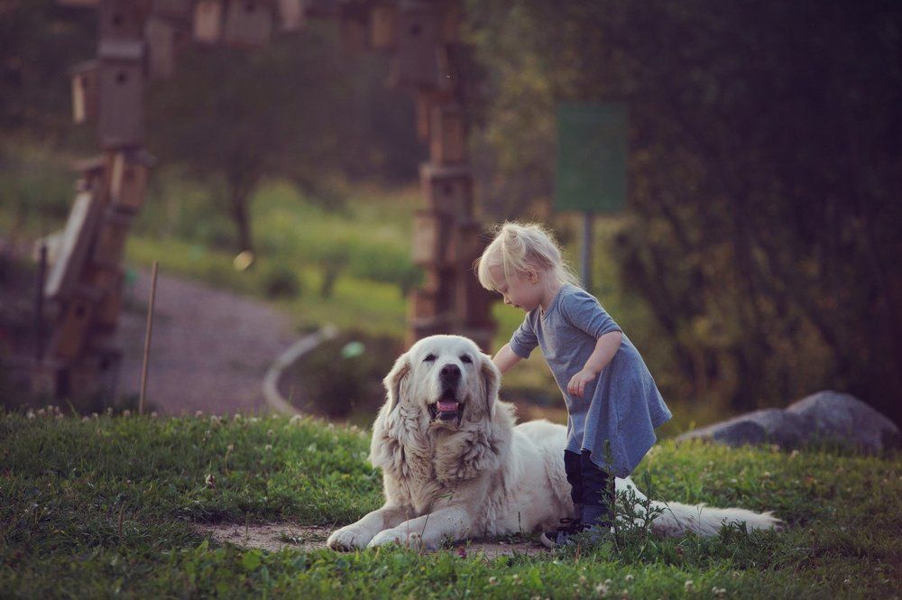 Фотография автора Маша Глебова