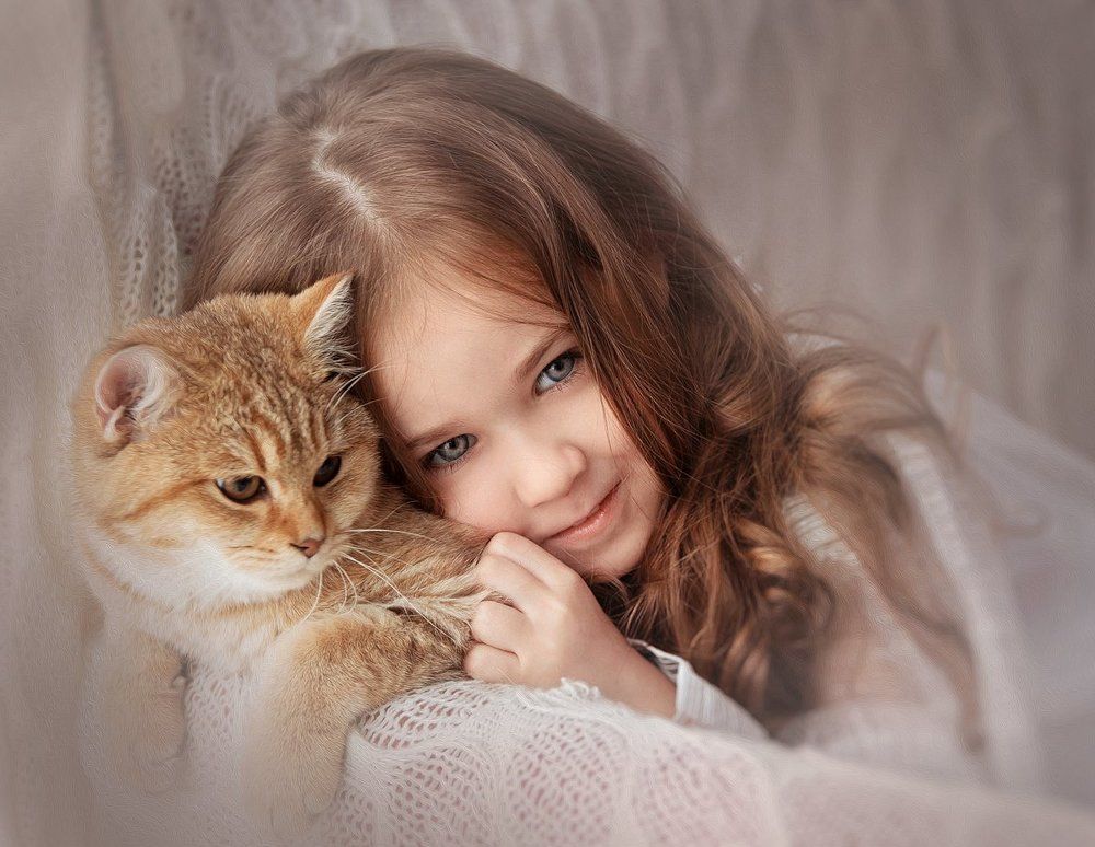 Рождественская сказка