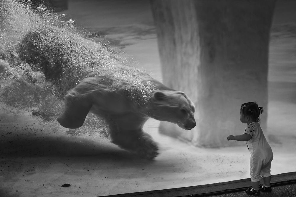 Ма Ша и медведь...