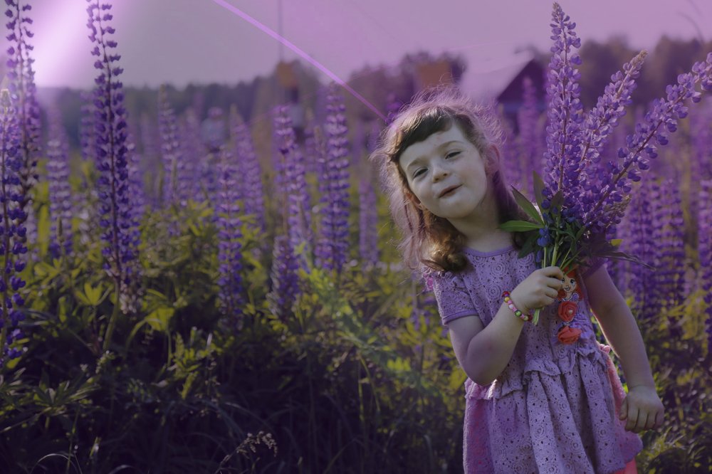 Девчоночка в люпинах  Devchonochka in Lupin