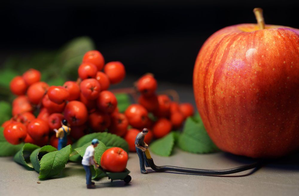 маленькие человечки