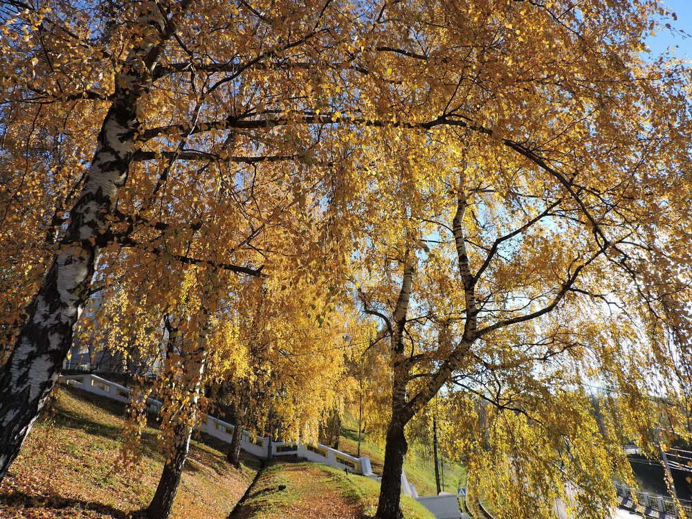 Photograph by Оксана
