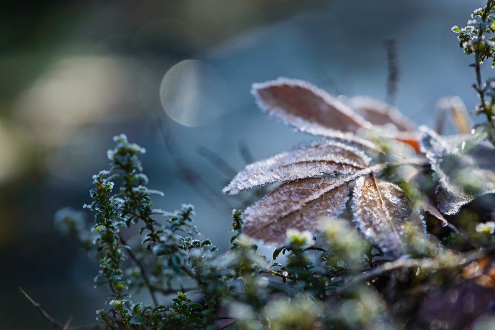 Лунный полдень