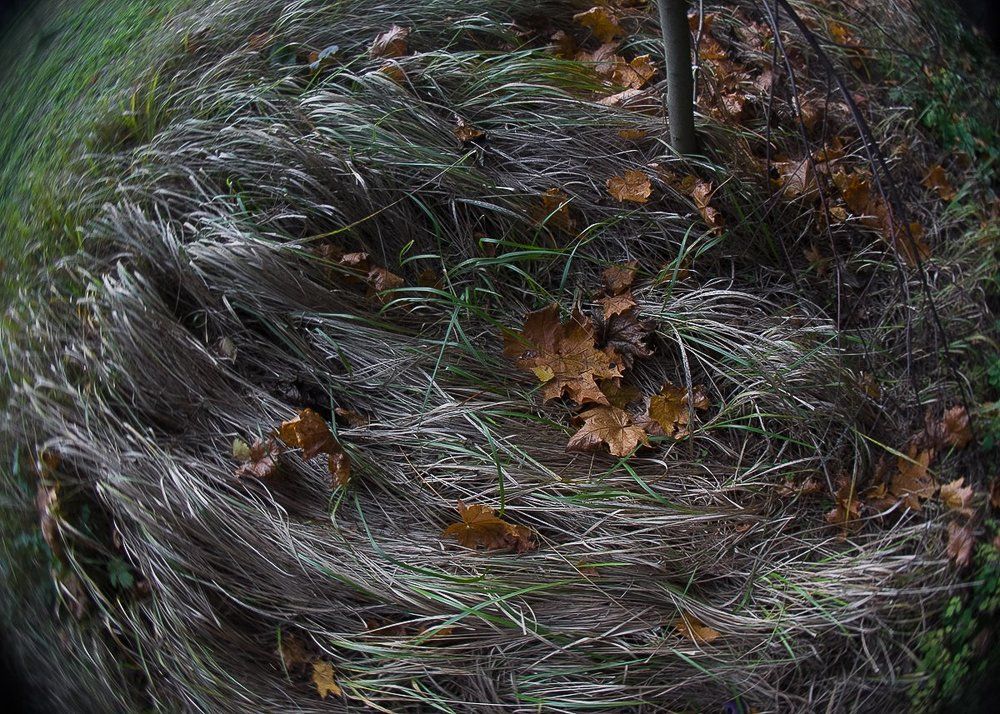 Седая осень