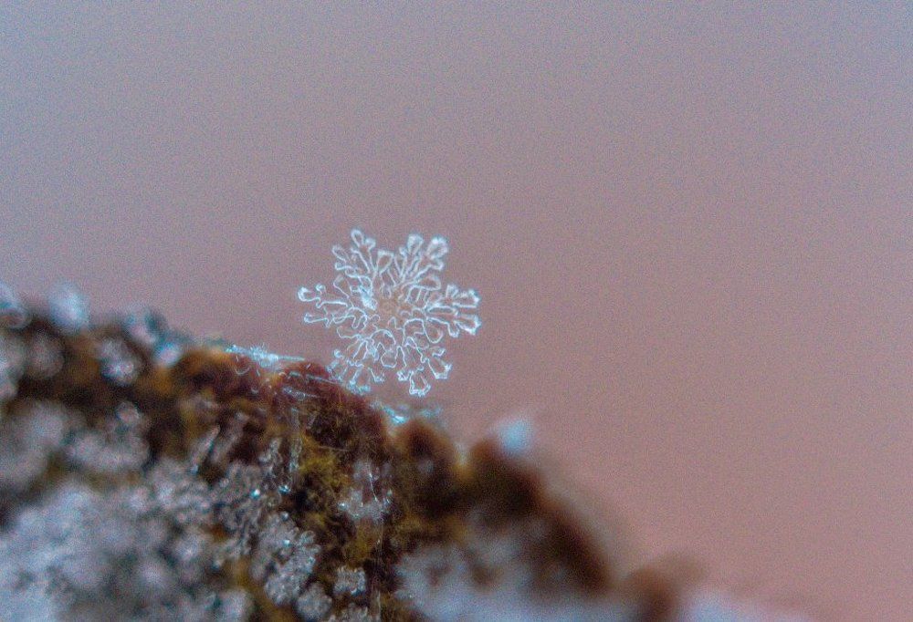 в ожидании сказки