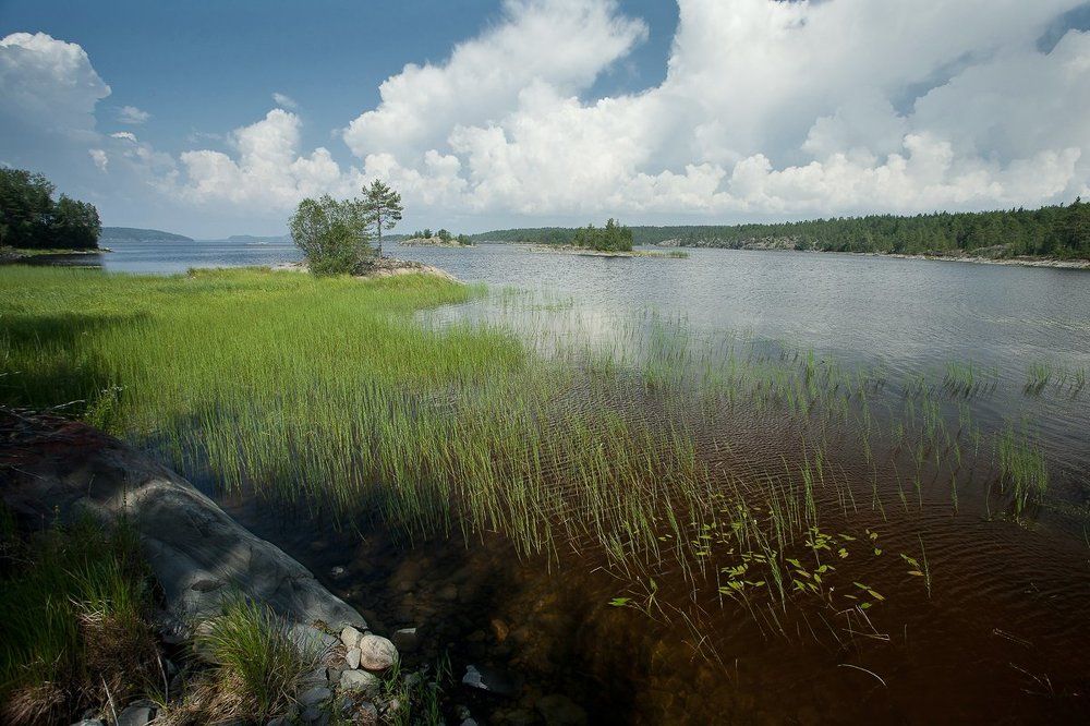 Погожий денек.