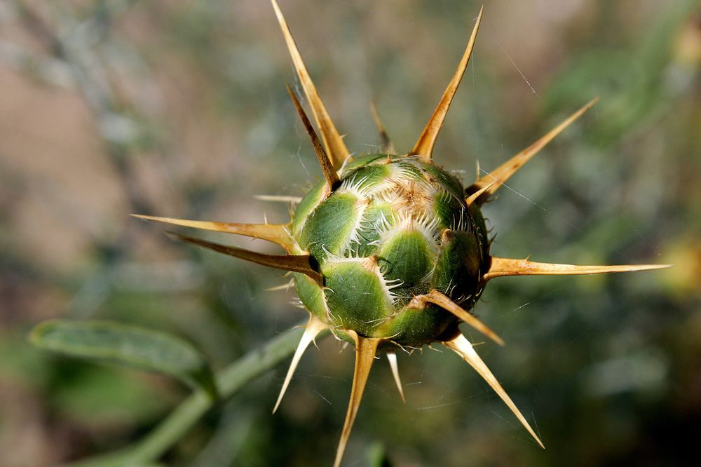 Photograph by Rouslan Chernyshev