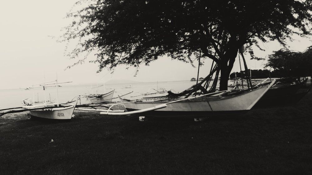 Row your boat