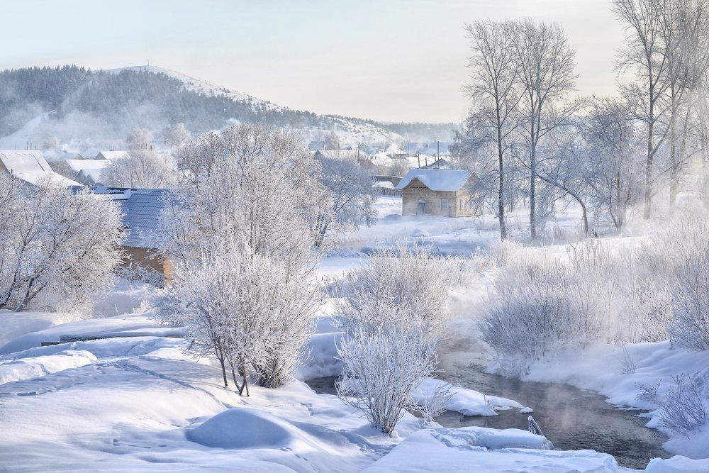 Морозный день