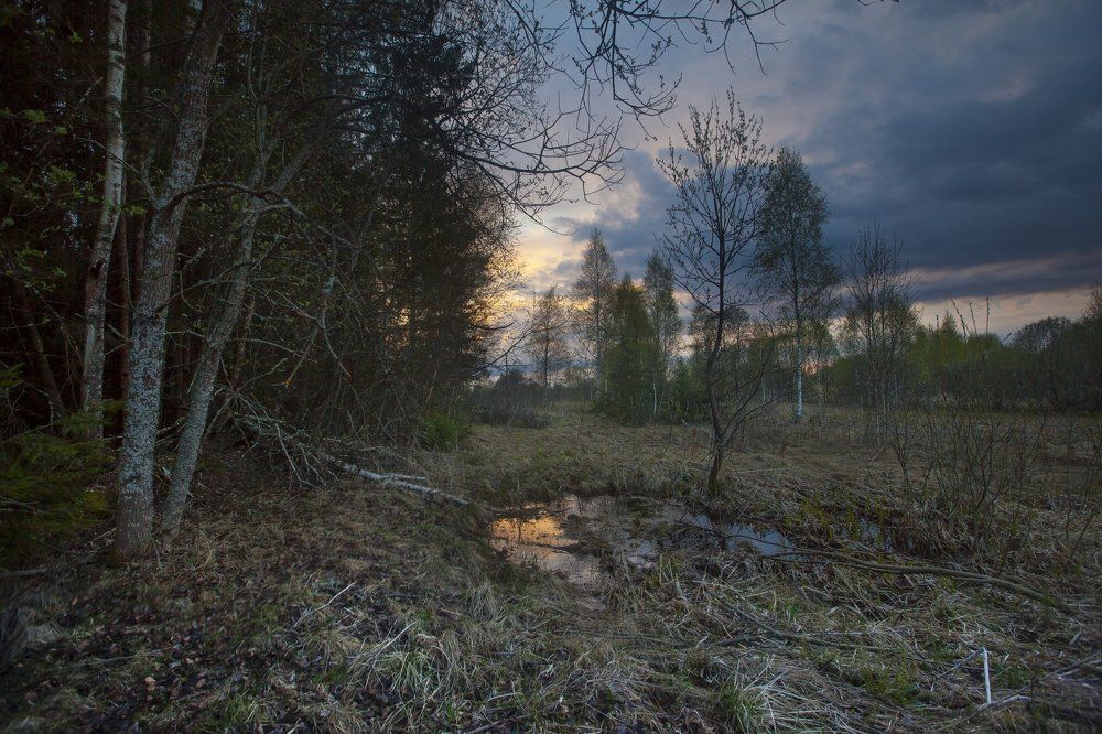 Закат в луже