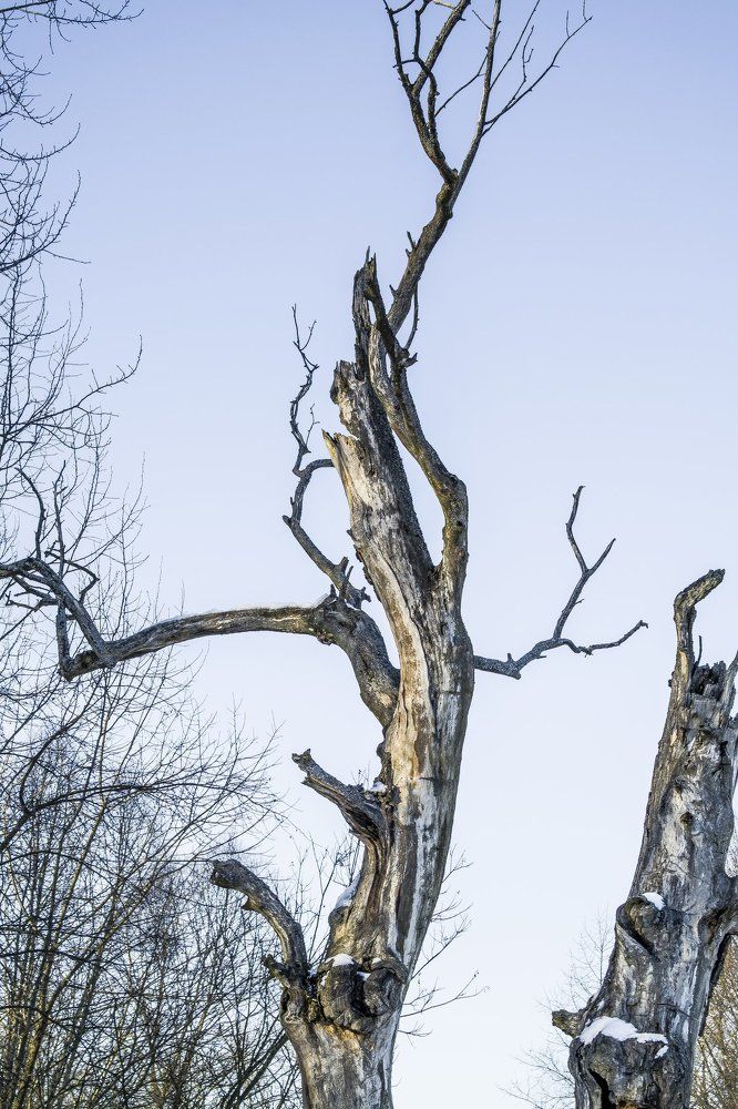 Photograph by Проскура Артём