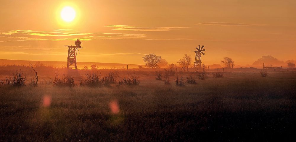 Степная медь
