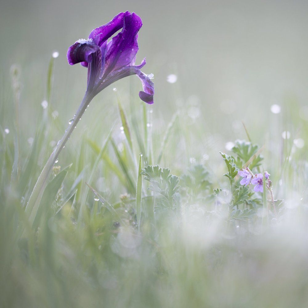 Под присмотром