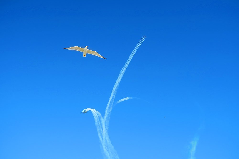 free flight
