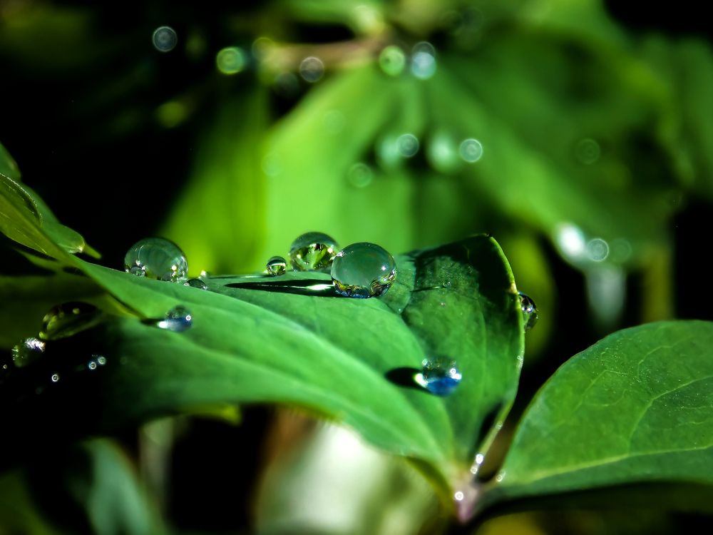 Маленькие планеты галактики Земля.