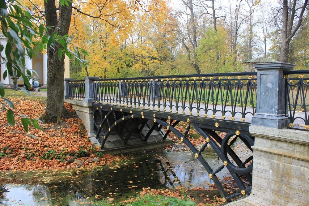 Осень в парке.Fall in the park.