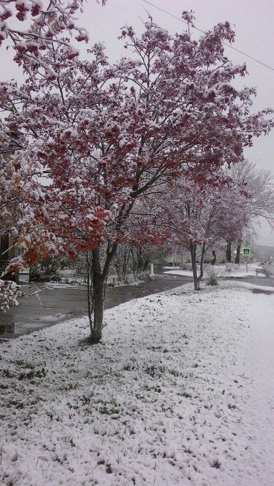 Photograph by Антон