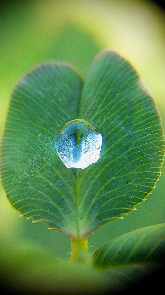 Photograph by Kandubasha