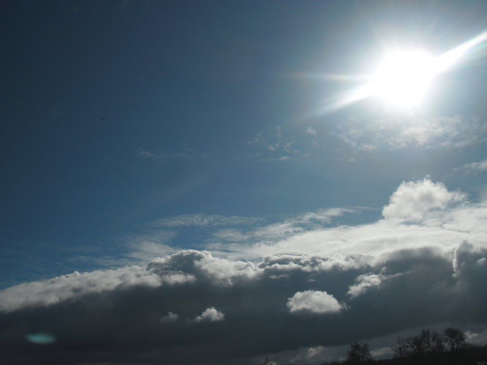 Солнышко!!!))))