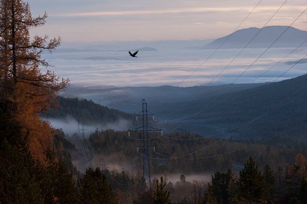 Рассвет на Улаганском перевале. Горный Алтай.