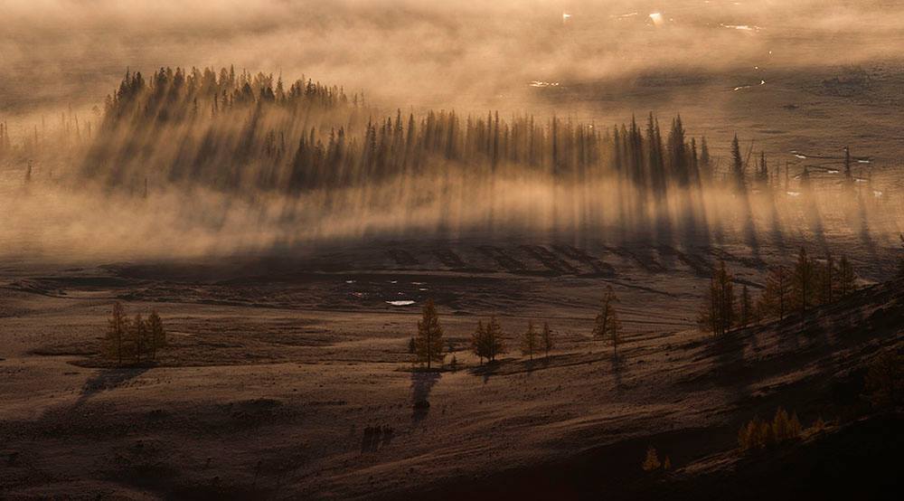 Следы солнца