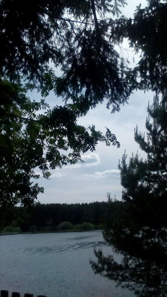 Река
