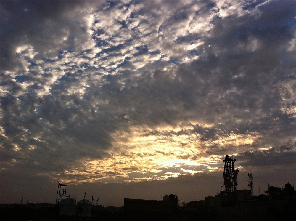 Wild Sunrise