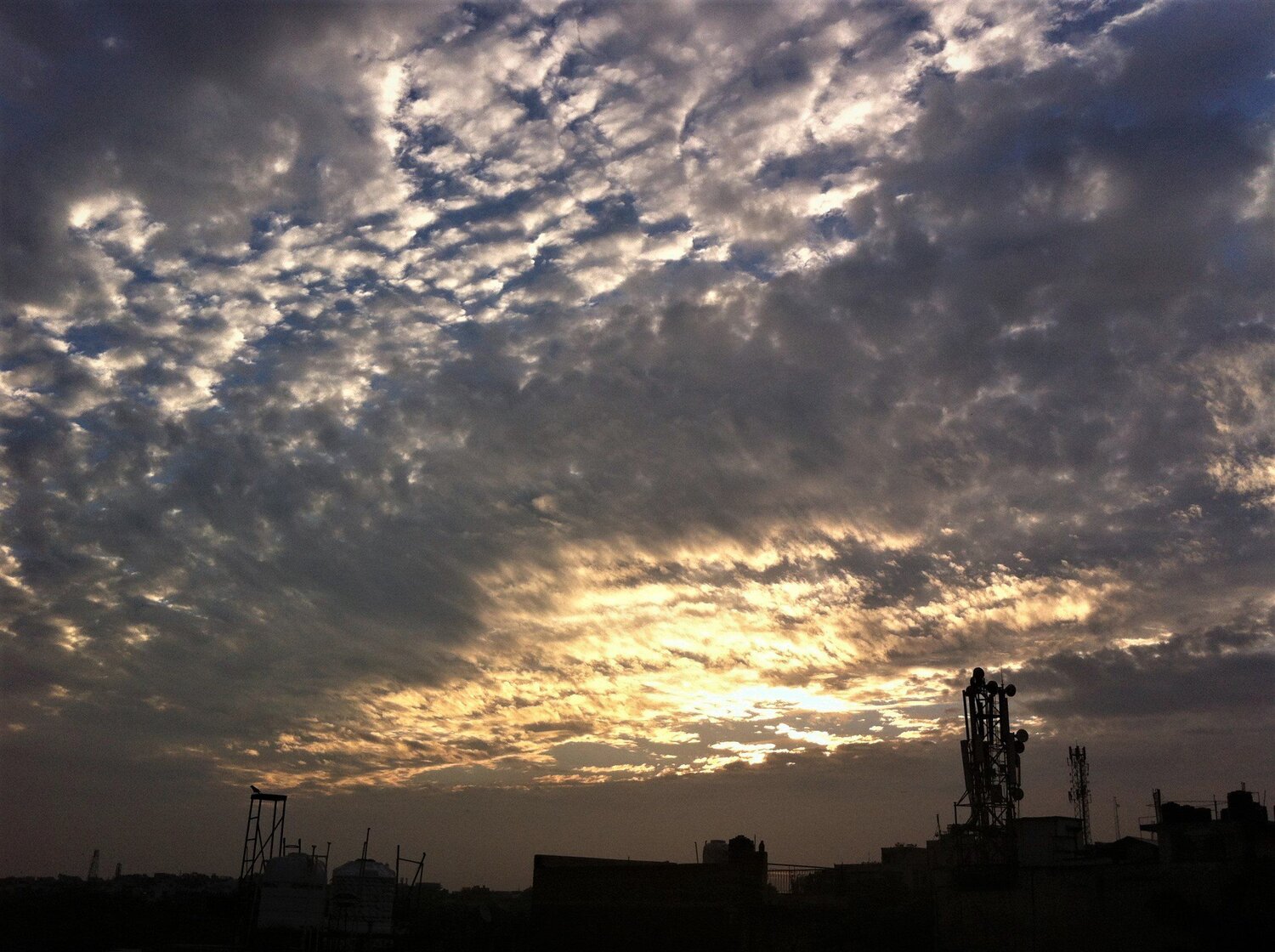 Wild Sunrise