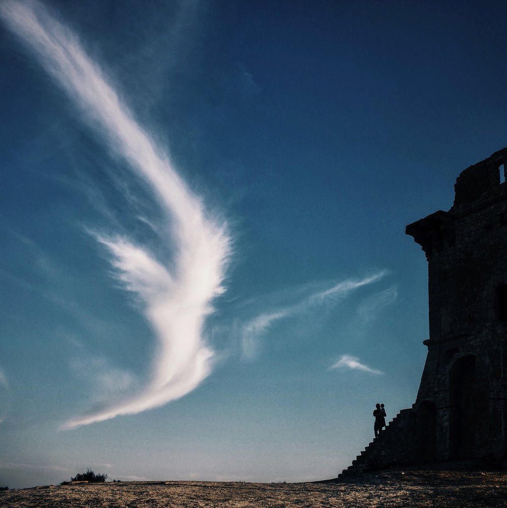 Птица-счастья