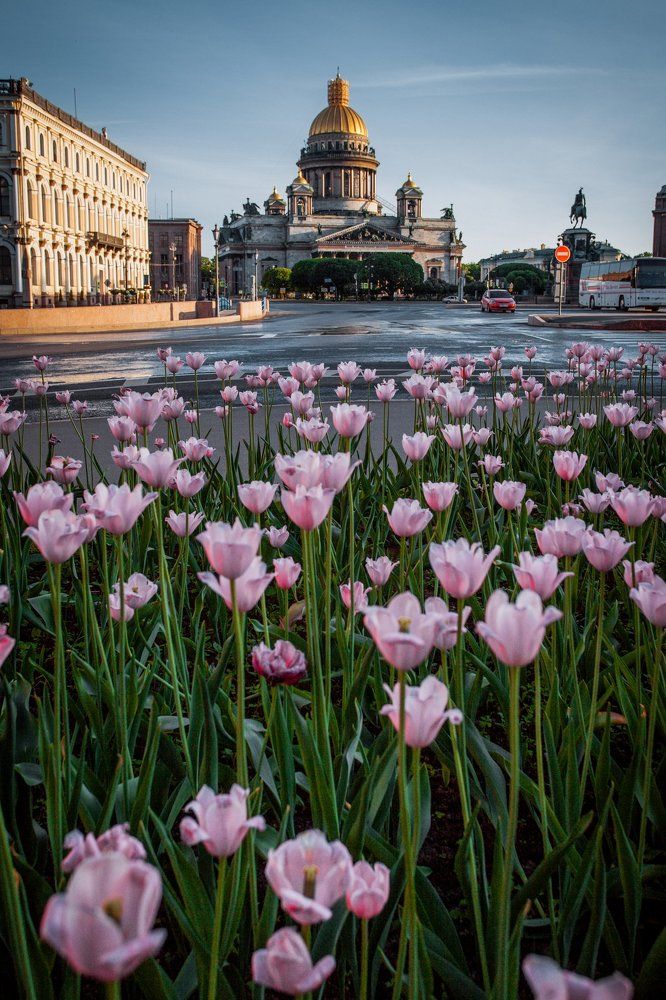 Белые ночи.