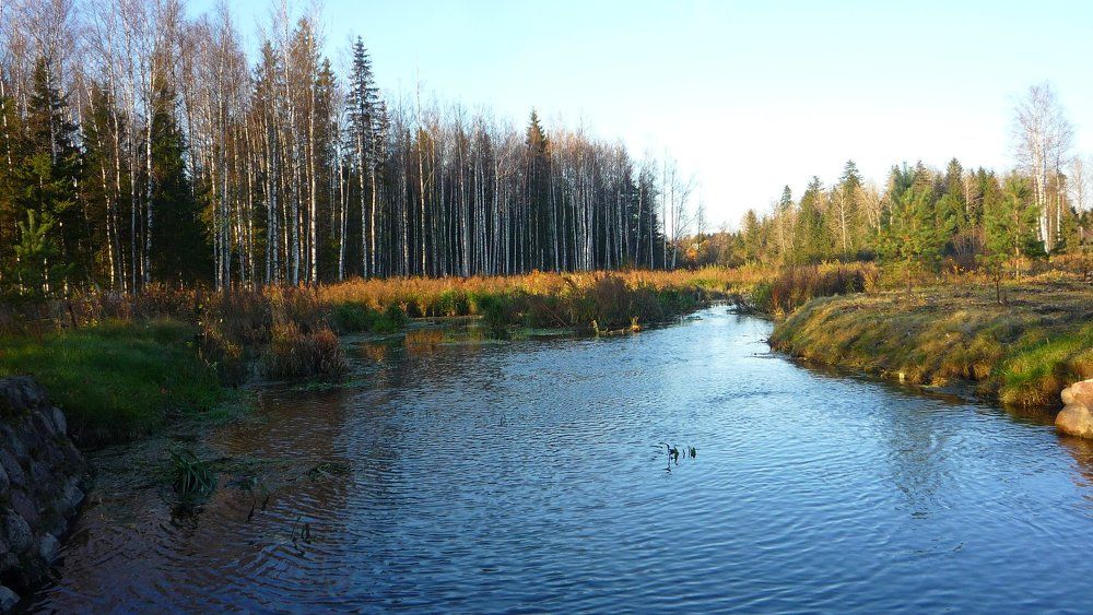 Photograph by Лидия Алексеева