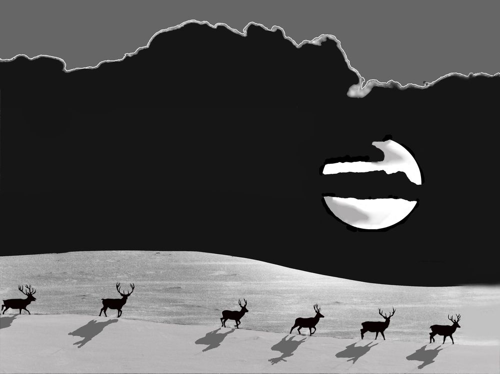 Ночь в Крымском Природном