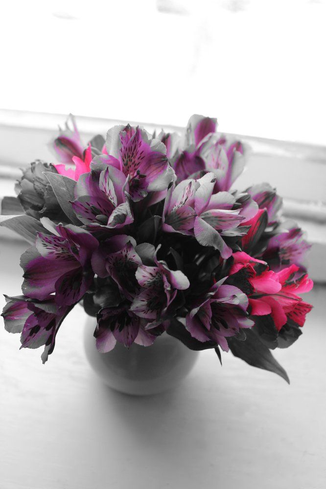 Вдохновение