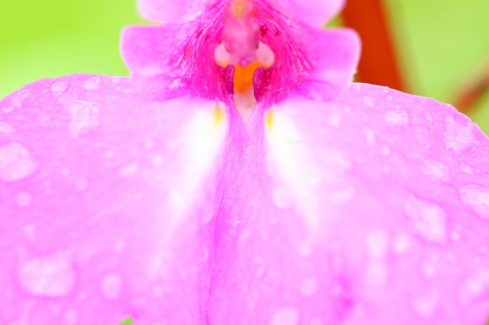 Colourful Raindrops