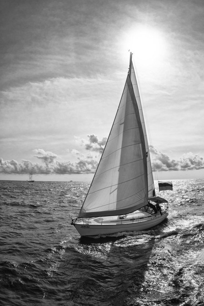 Into the Wind