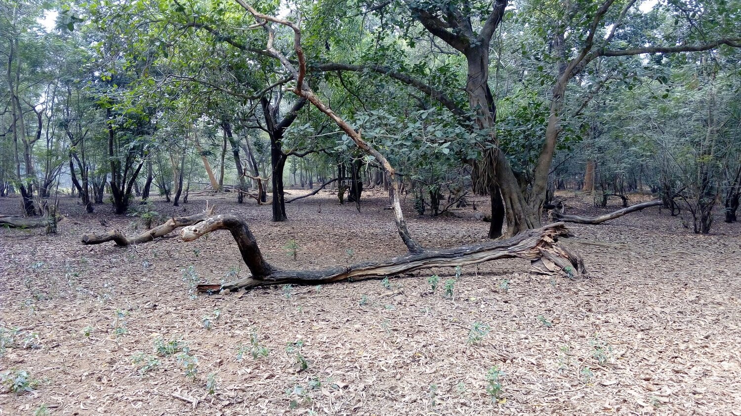 old wooden !!