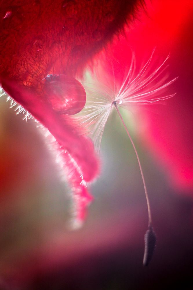 Weightlessness / Невесомость