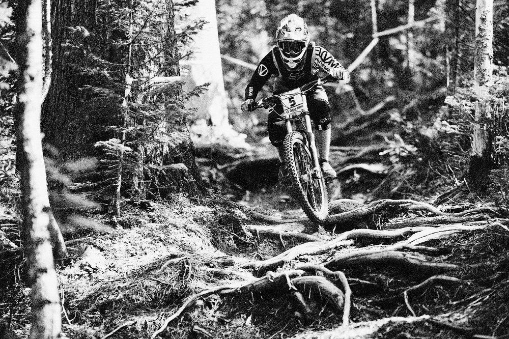 Пробираясь сквозь корни.