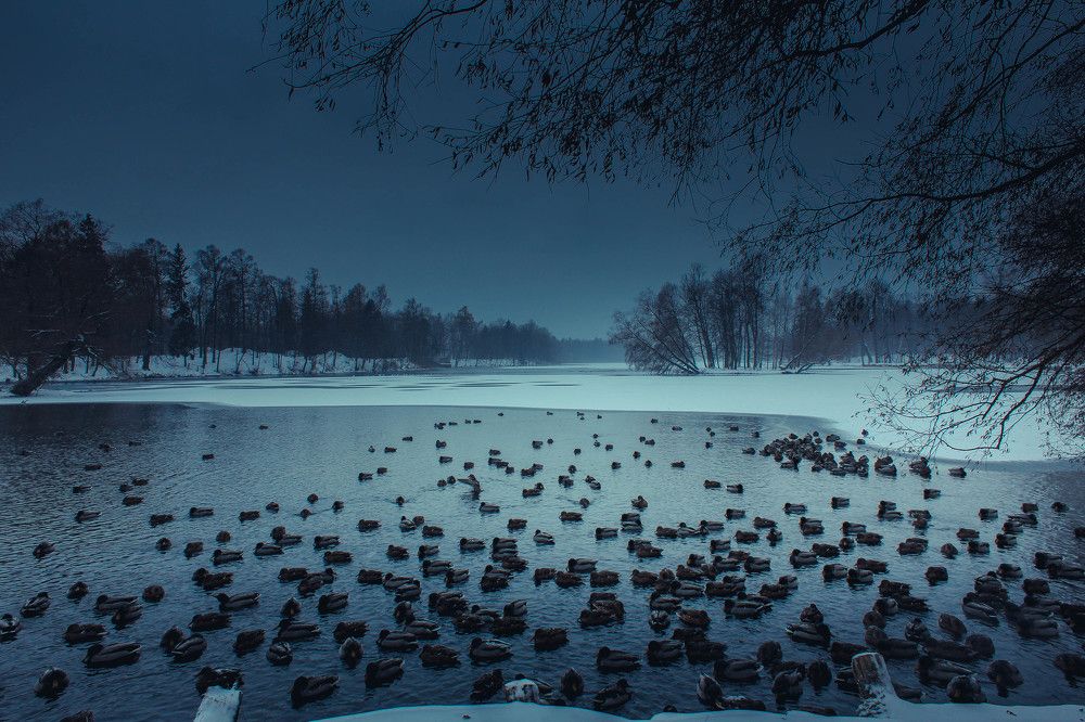 Утренняя зимняя осень