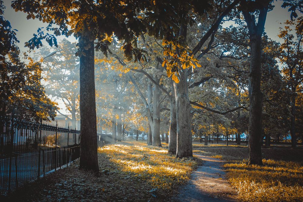 Утренние лучи солнца