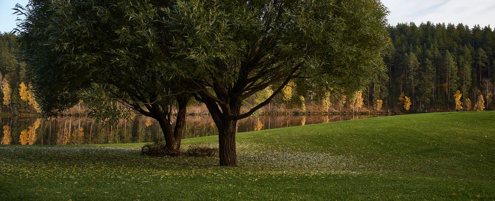 Тихая осень