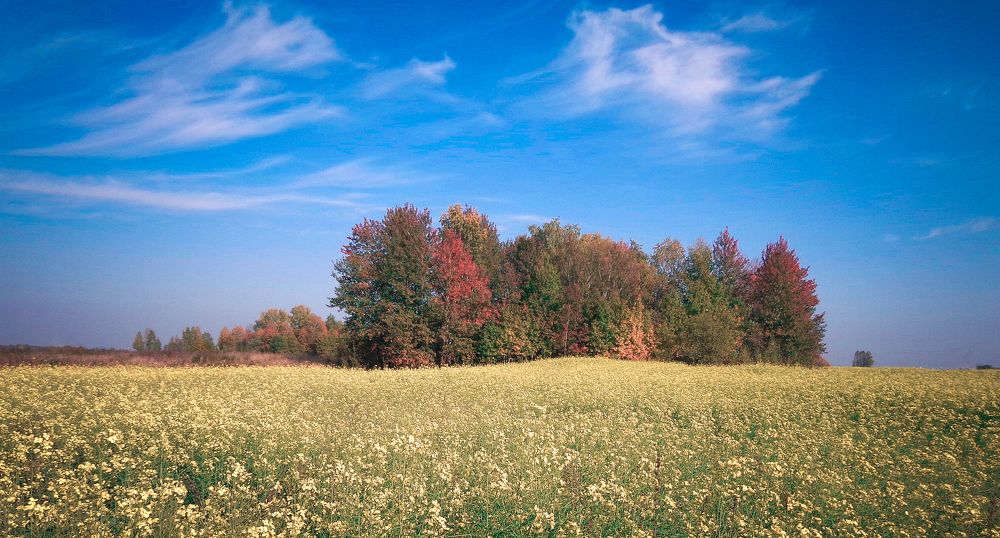 Фотография автора Иван Сидоров