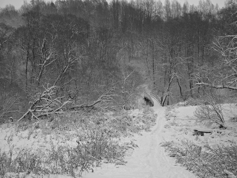 Новые кружева зимы