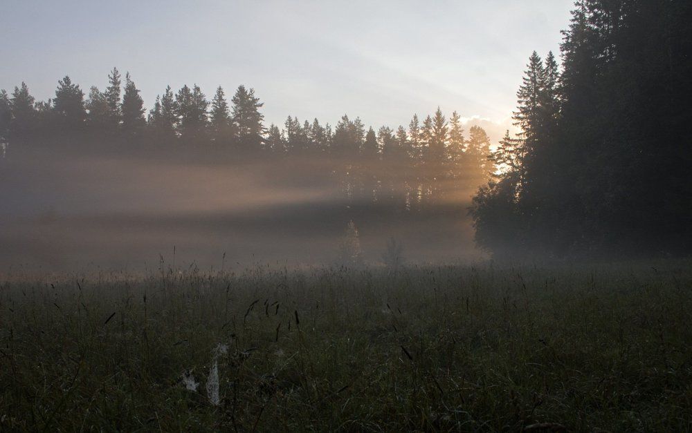 Утренний туман