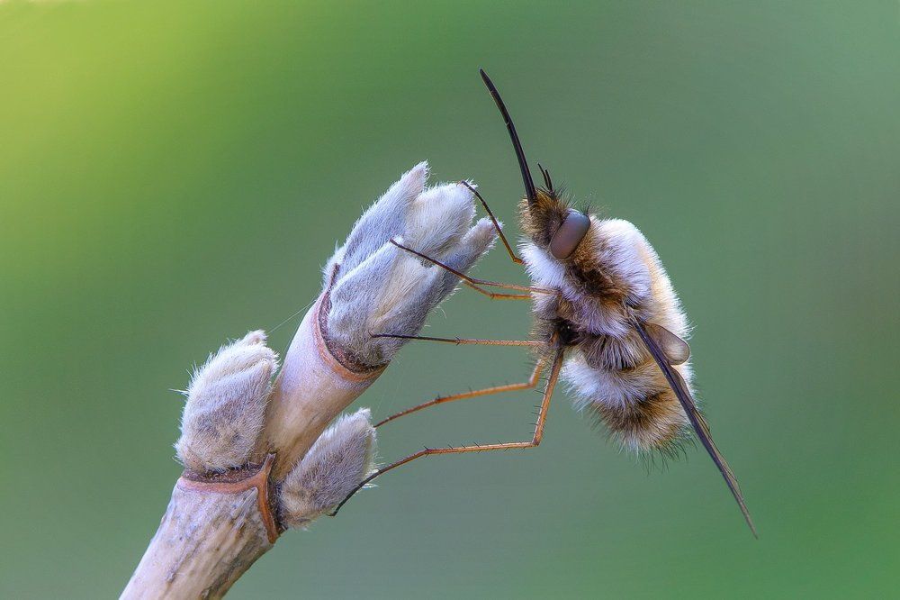 признаки весны