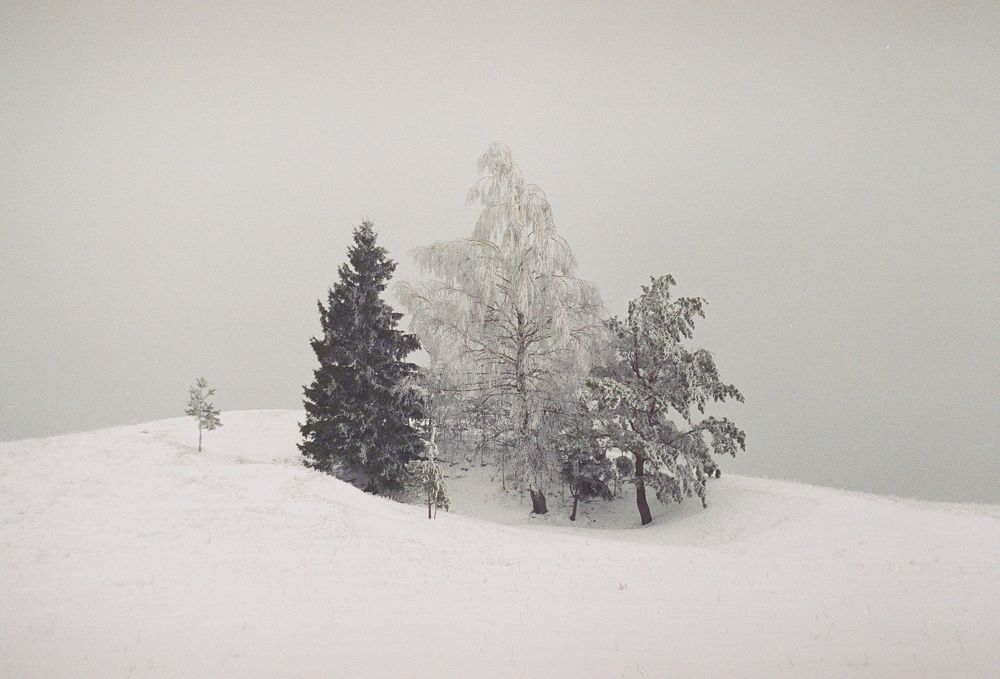 Photograph by Самсонкин Александр Викторович