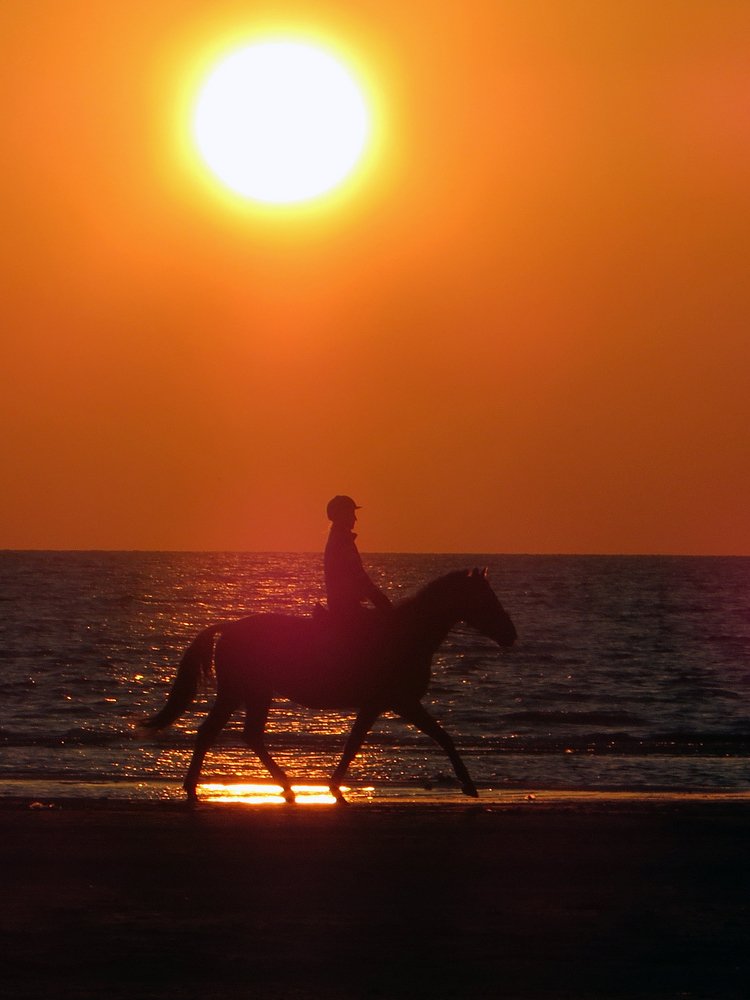 На прогулке