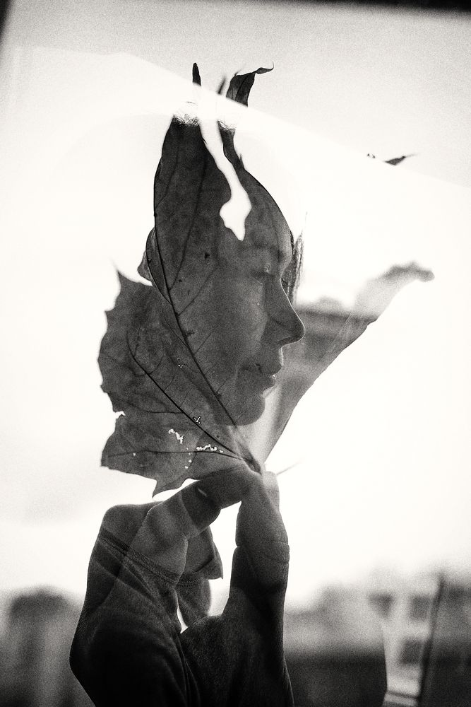 осенний листок