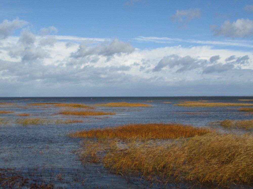 Осенний залив